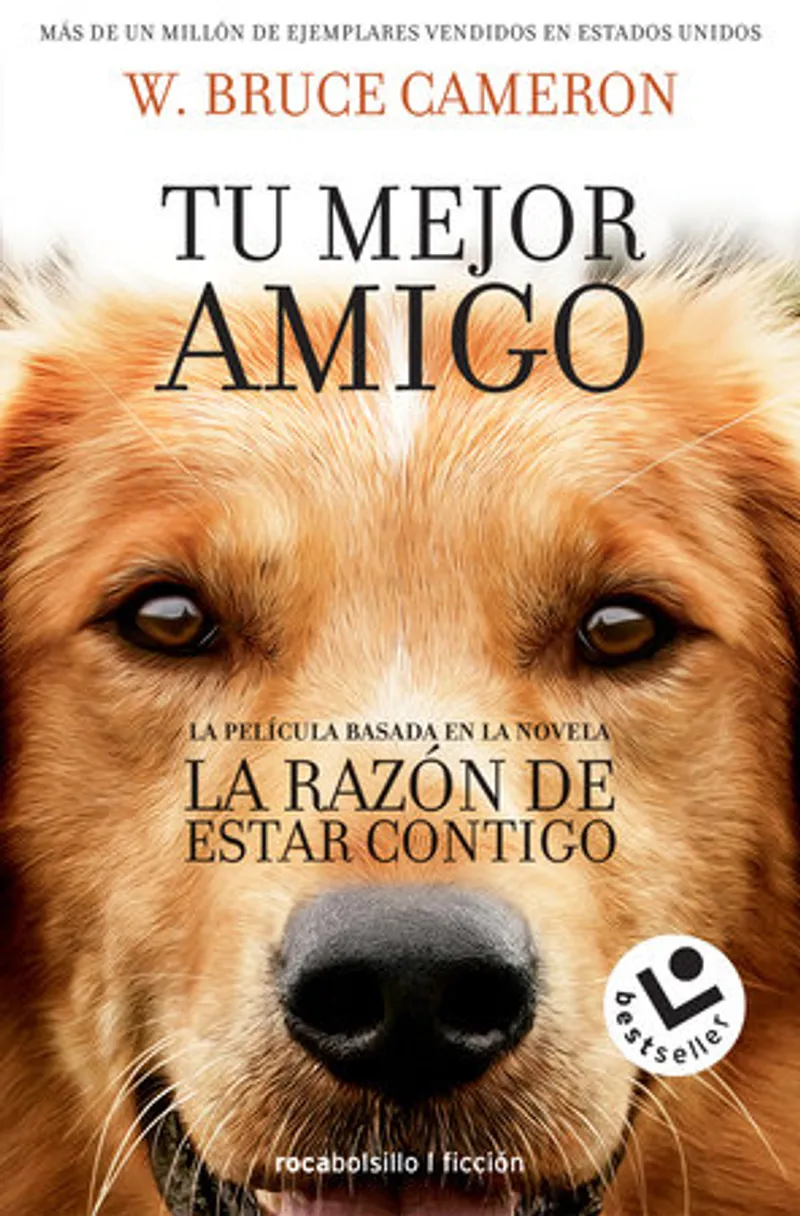 A Dog's Purpose Book Review and Summary