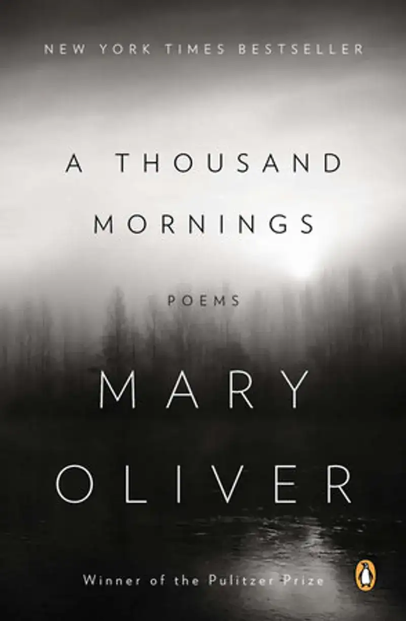 A Thousand Mornings Book Review and Summary