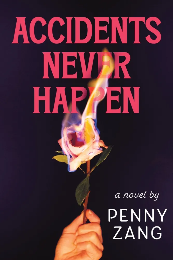 Accidents Never Happen: A Novel Book Review and Summary