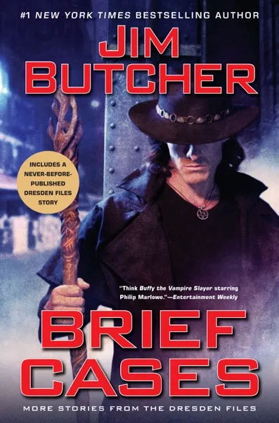 Brief cases Book Review and Summary
