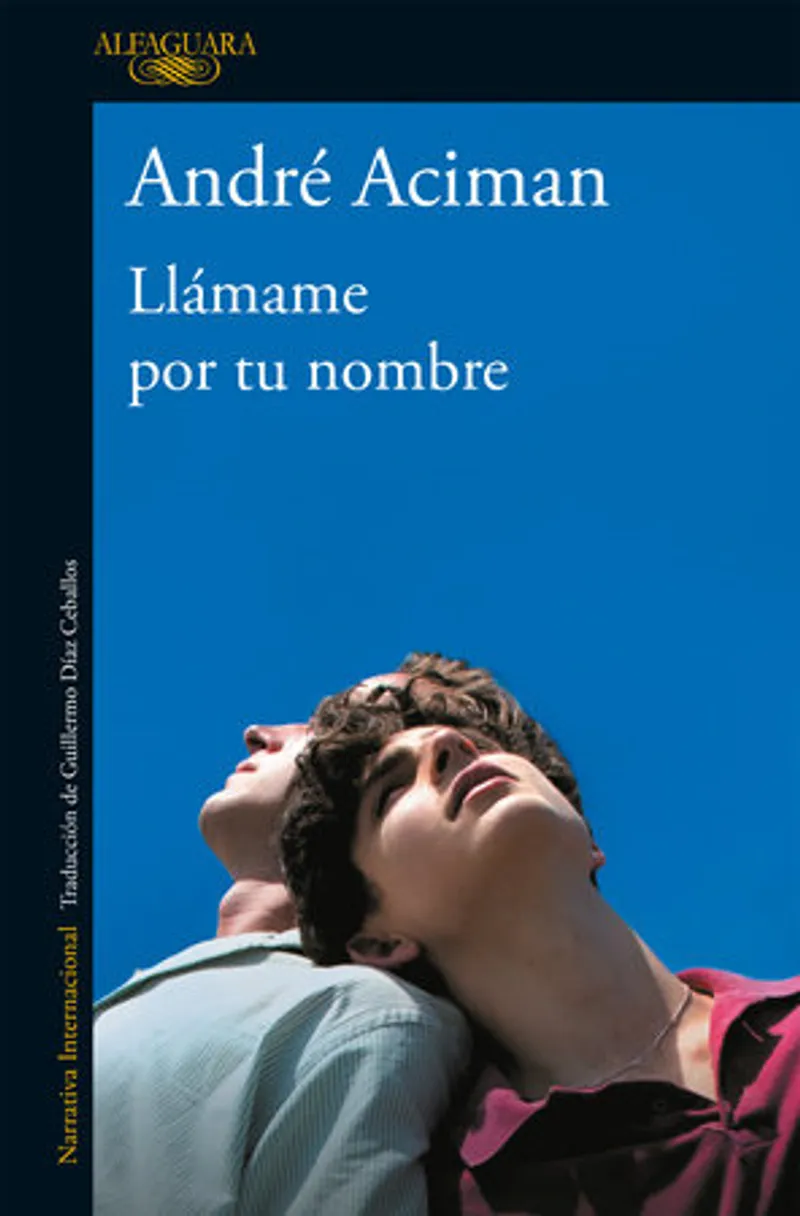 Call Me By Your Name Book Review and Summary