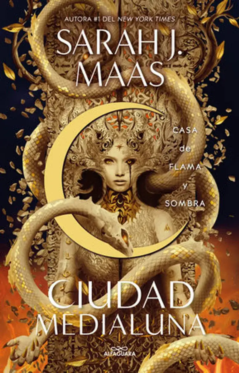 Casa de flama y sombra / House of Flame and Shadow Book Review and Summary