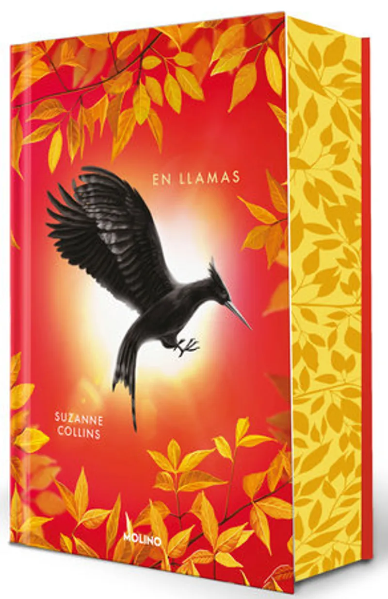 Catching Fire Book Review and Summary