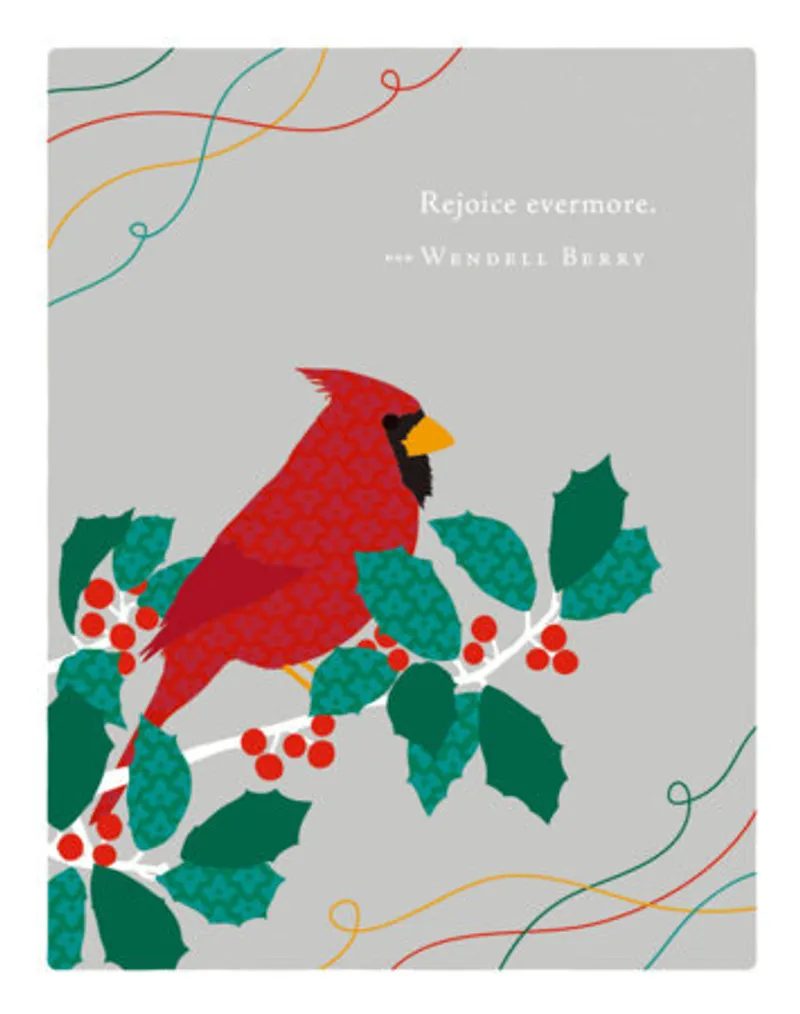 Evermore Book Review and Summary