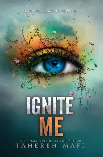 Find Me Book Review and Summary