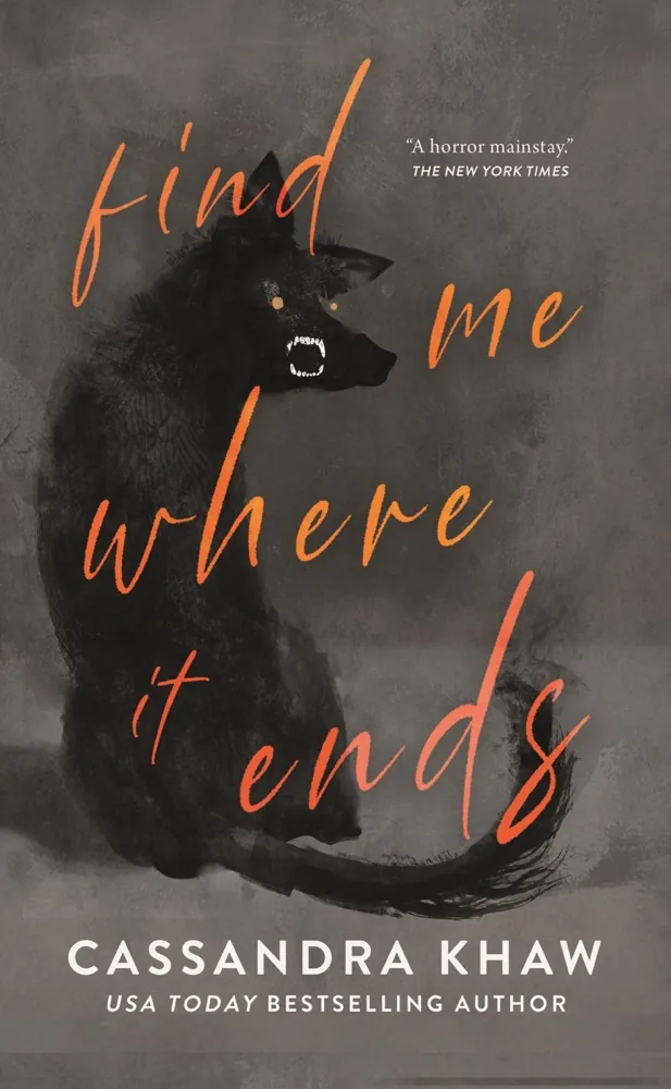Find Me Where It Ends Book Review and Summary