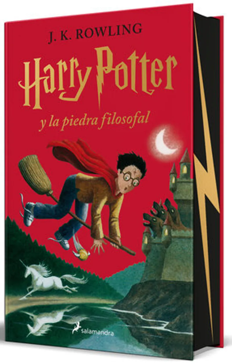 Harry Potter and the Sorcerer's Stone Book Review and Summary