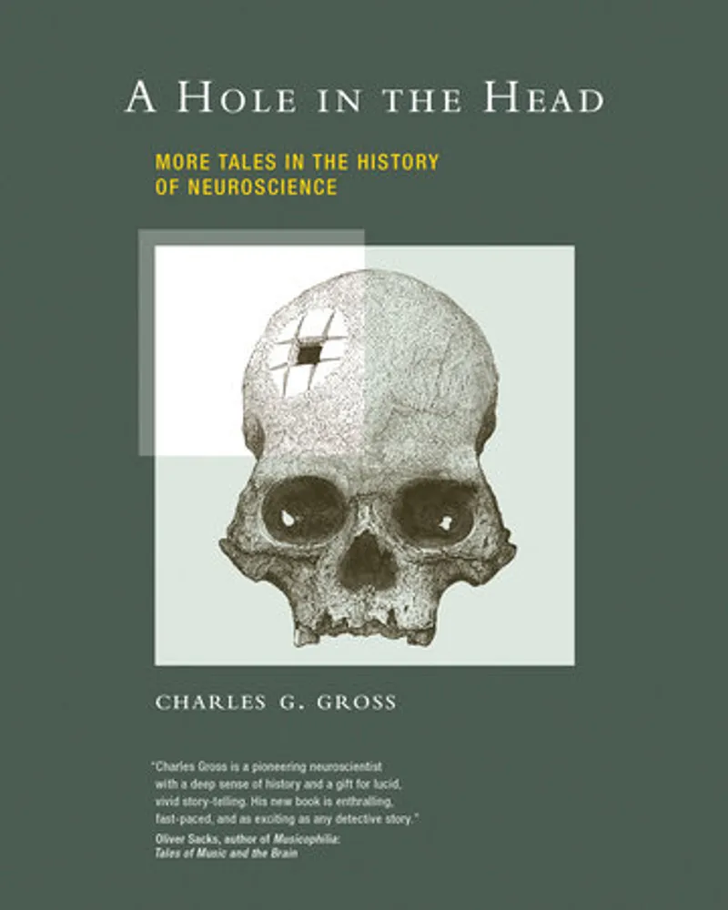 Head Like a Hole Book Review and Summary