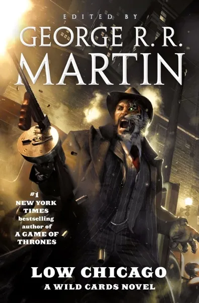 Low Chicago Book Review and Summary