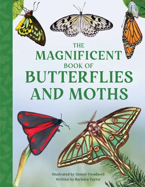 Magnificent Book of Butterflies and Moths Book Review and Summary