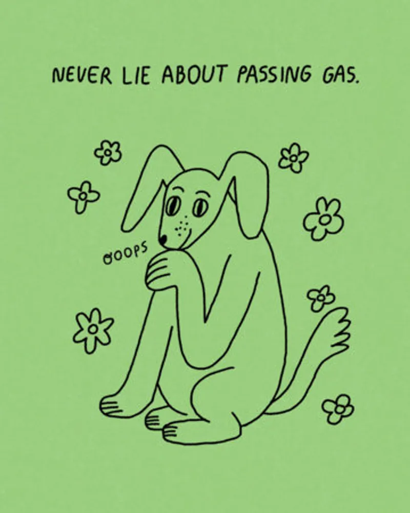 Never Lie Book Review and Summary