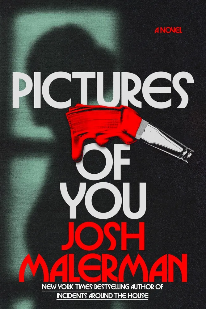 Pictures of You Book Review and Summary