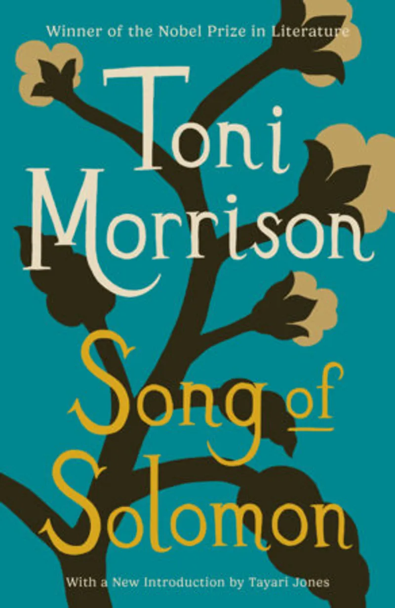 Song of Solomon Book Review and Summary