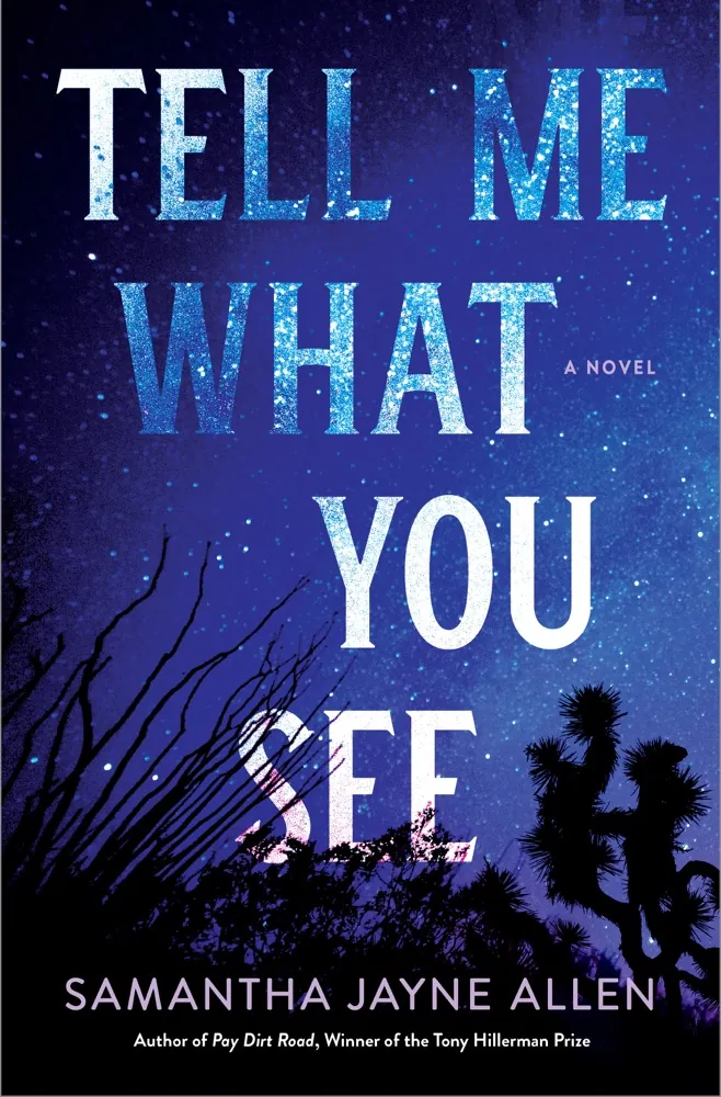 Tell Me What You See Book Review and Summary