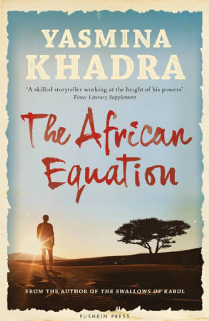 The African Equation Book Review and Summary