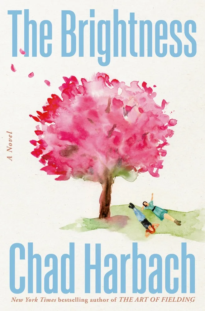 The Brightness Book Review and Summary