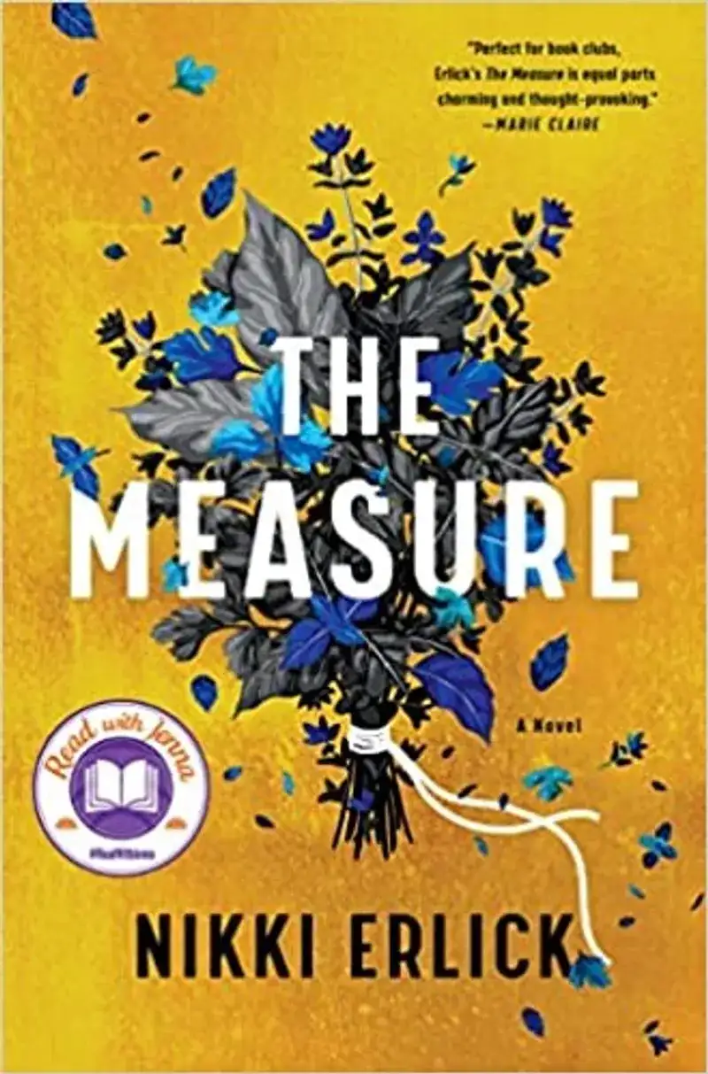 The Measure Book Review and Summary