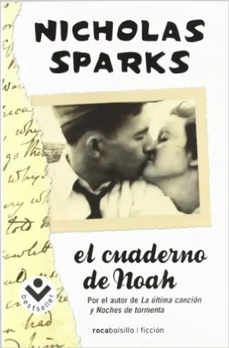The Notebook Book Review and Summary