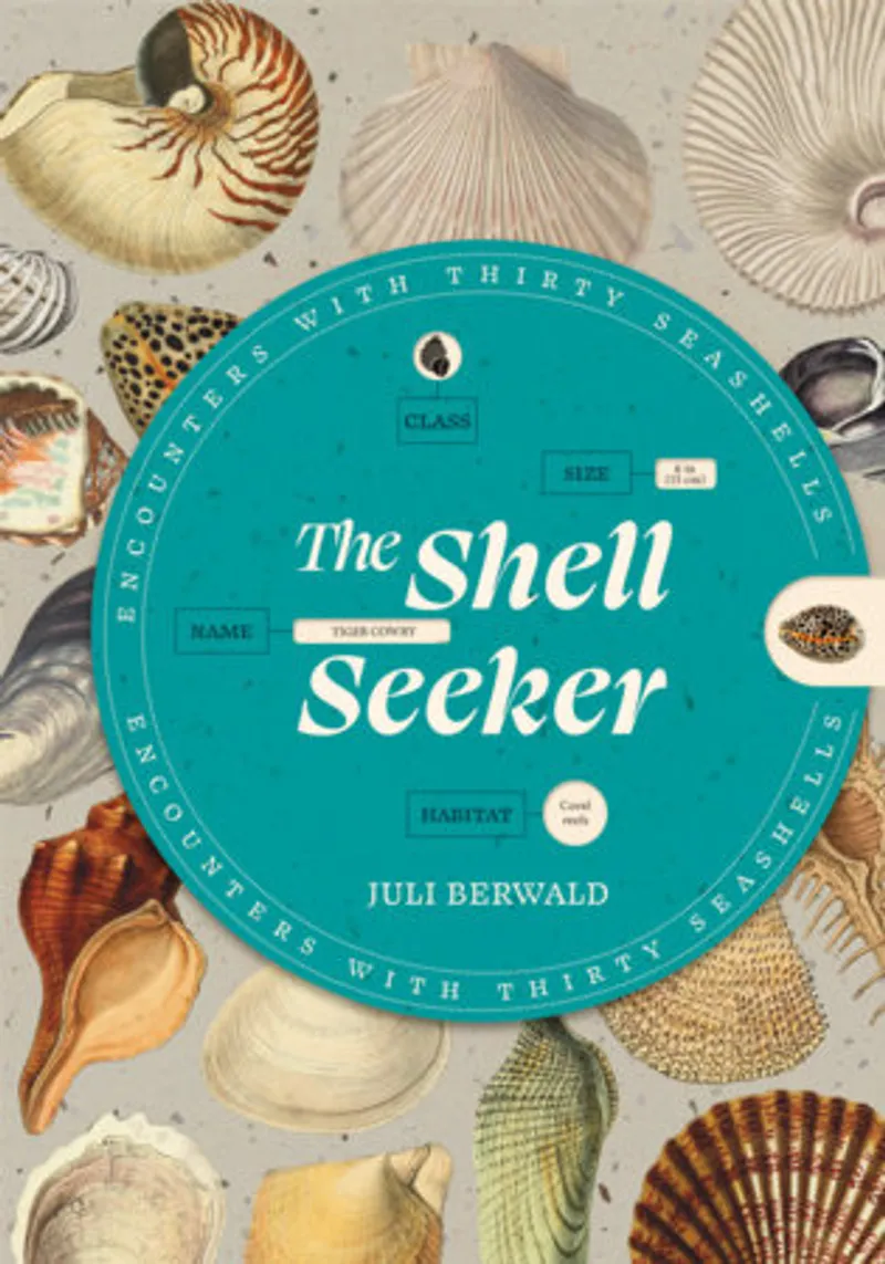 The Shell Seekers Book Review and Summary