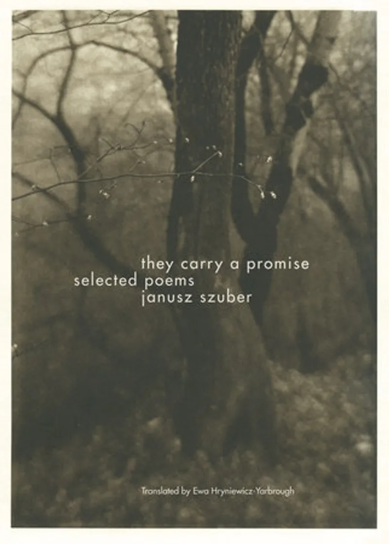 The Things They Carried Book Review and Summary