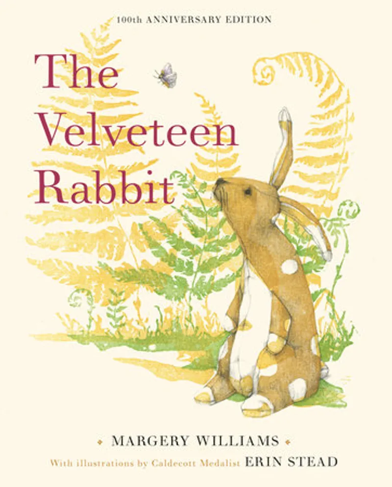 The Velveteen Rabbit Book Review and Summary