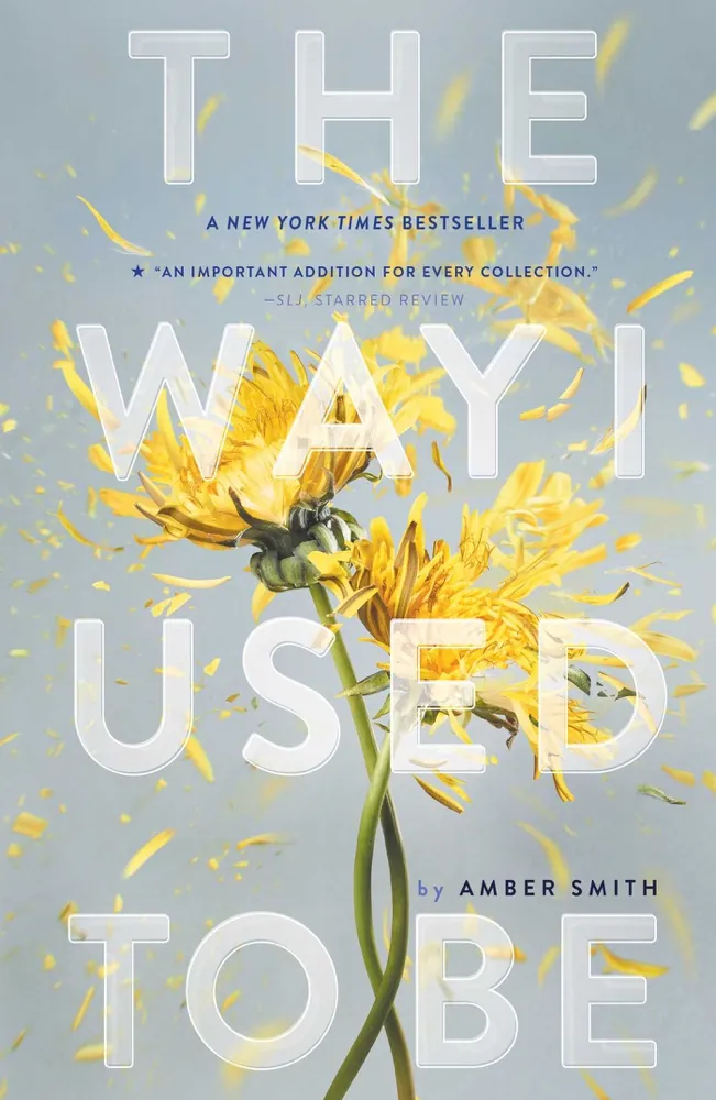 The Way We Become (The Way I Used to Be, #3) Book Review and Summary