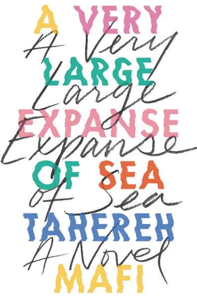 Very Large Expanse of Sea Book Review and Summary
