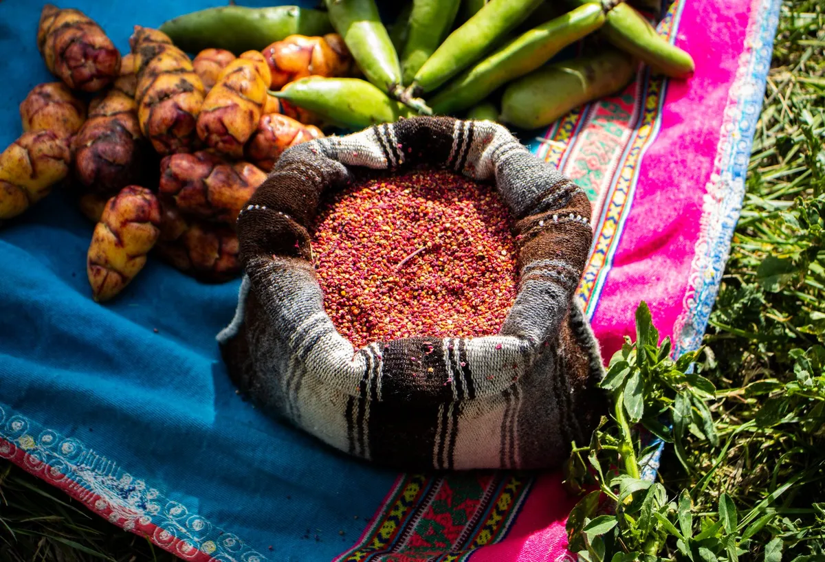 Andean Superfoods Unveiled: The Alchemical Power of Quinoa, Kiwicha, and Canihua