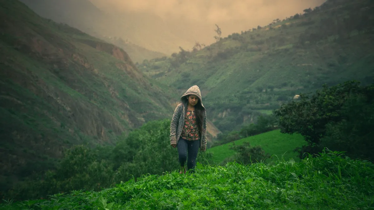 Quinoa fields in the Andes at sunrise