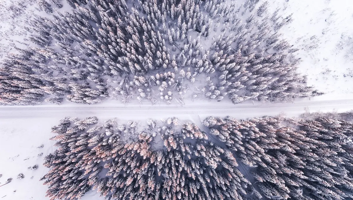 Frozen Approach to the Vault