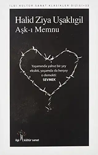 Aşk-ı Memnu Kitap İncelemesi: Aylin Okur