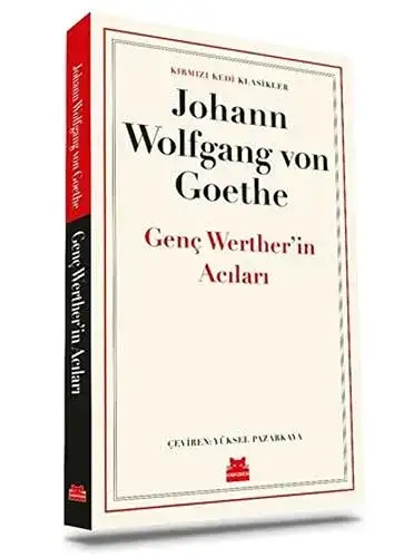 Genç Werther'in Acıları Kitap İncelemesi: Aylin Okur