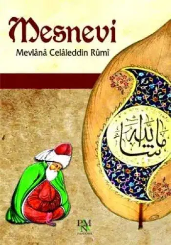 Mesnevi Kitap İncelemesi: Aylin Okur