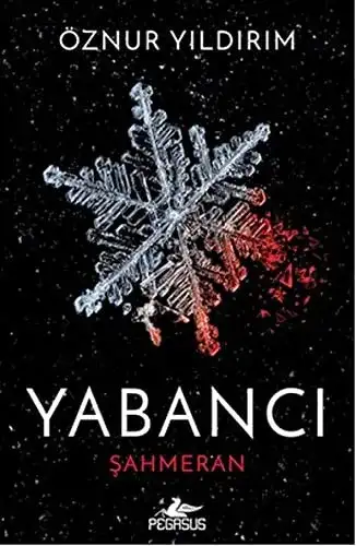 Yabancı Kitap İncelemesi: Aylin Okur