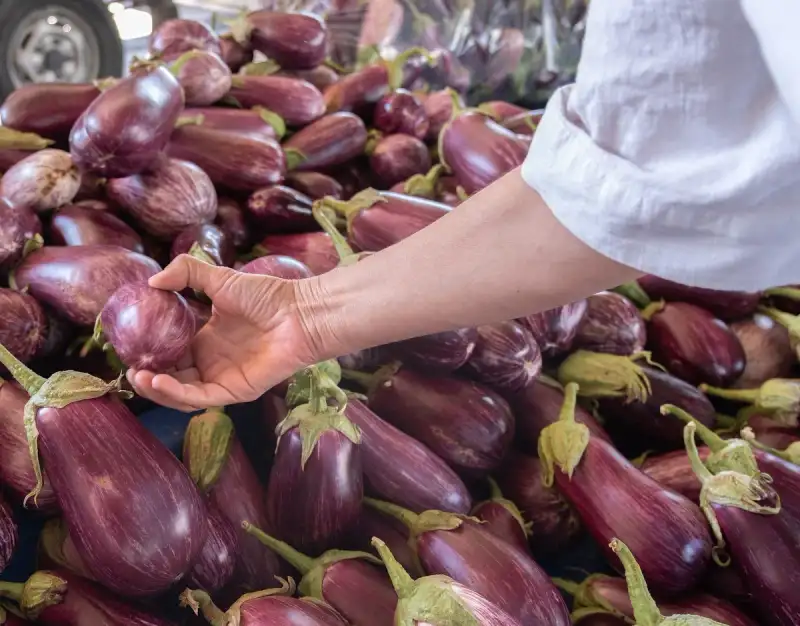 Baba Ghanoush: The Smoky Eggplant Dip