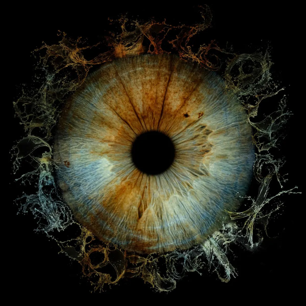 Iris Scan Close‑up