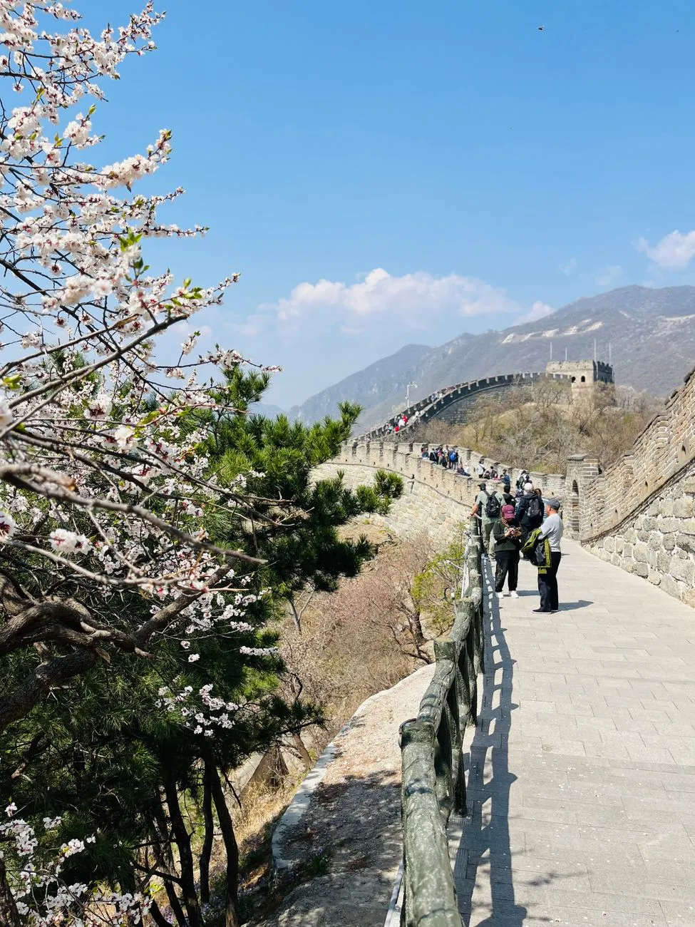 Winding trail through watchtower ruins