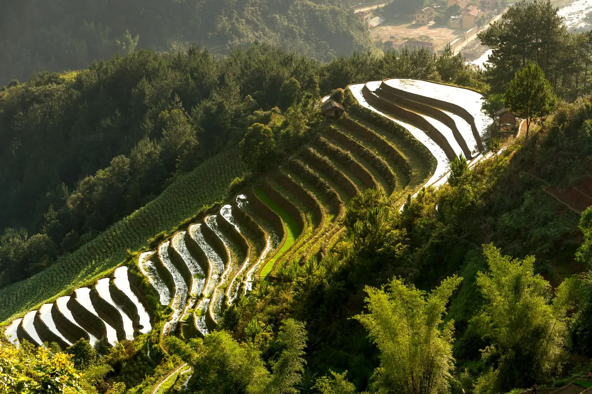 Teshima island landscape