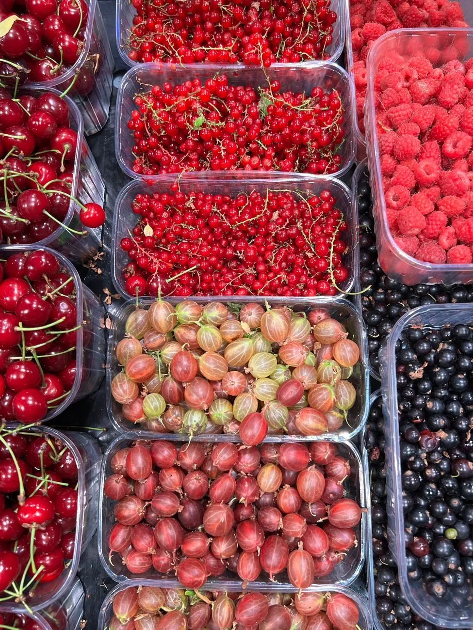Beyond the Supermarket Aisle: A Gastronomic Odyssey Through Earth’s Most Exotic Fruits
