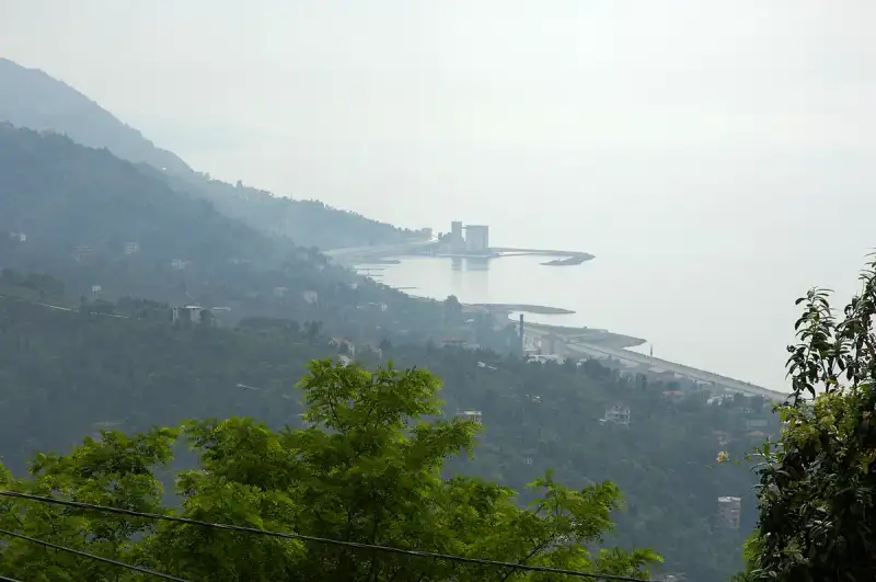 Turkish Black Sea tea field terraced