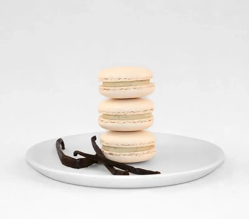 Macaron : L'Élégance Parfaite en Une Seule Bouchée