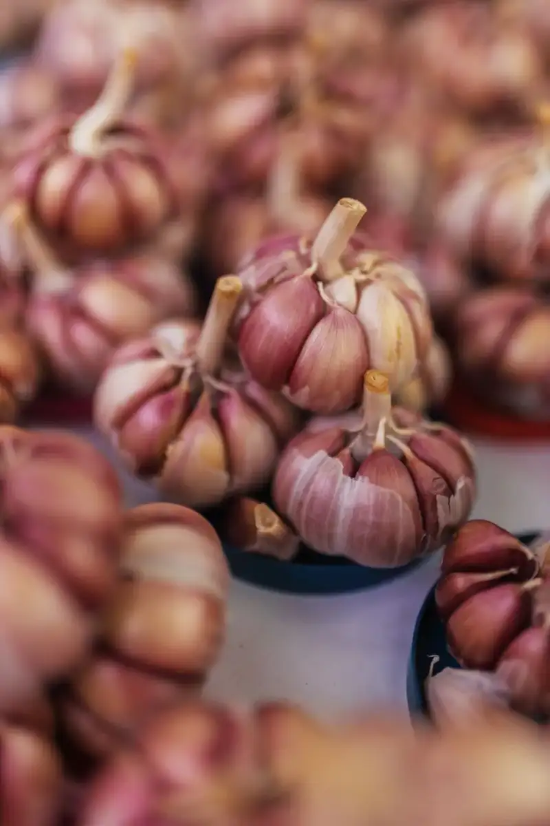 Garlic and Thyme