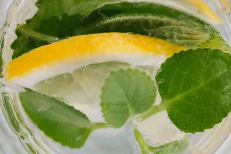 Cuban Mojito: The Refreshing History of a Caribbean Classic (Part 2)