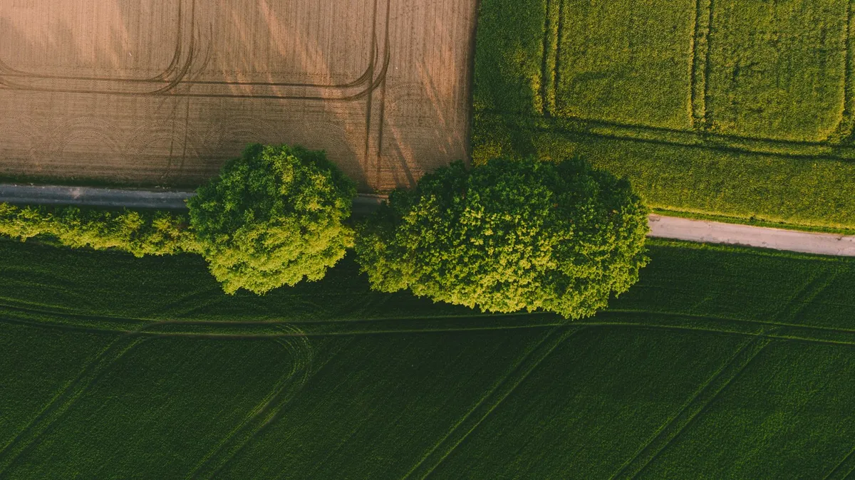 Cultivating Tomorrow: How Machine Vision is Redefining Precision Farming