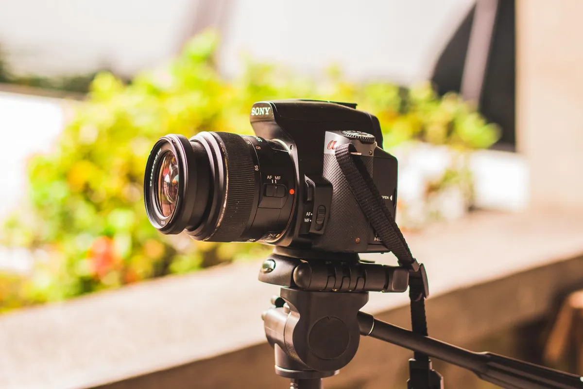 Aurora Photographer