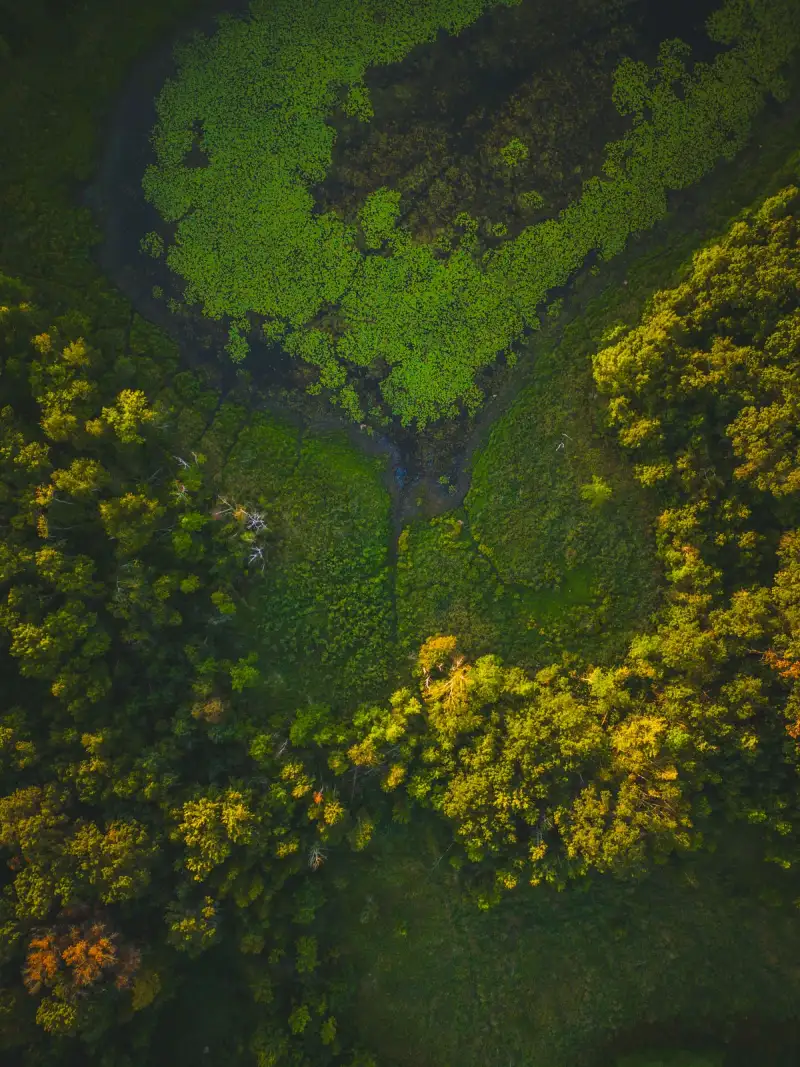 Topografische Karte der Maracaibo-Region