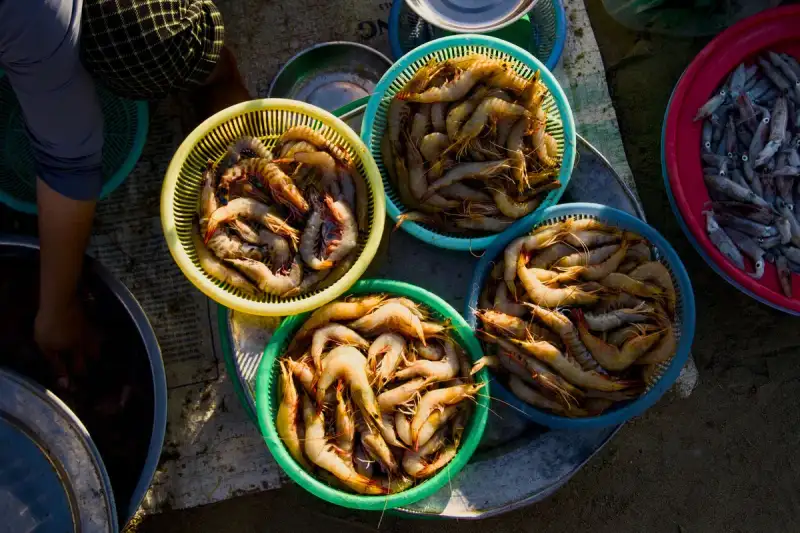 Seafood Variety