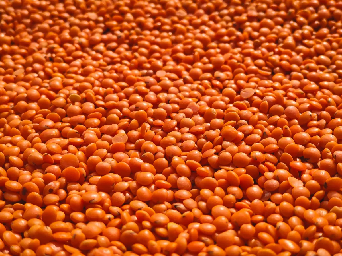 Fresh lentils and rustic harvest vegetables in a bowl