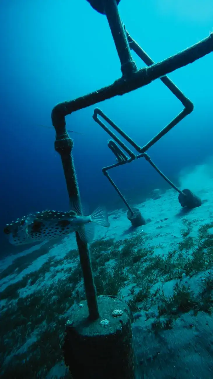 Dive Into a Hidden World: The Most Breathtaking Underwater Museums and Sculpture Parks