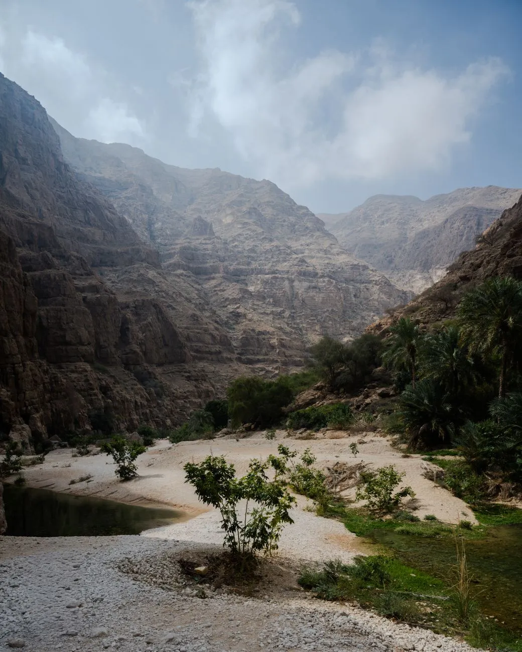 Emerald Veins of the Hajar: A Journey Through Oman’s Living Wadis
